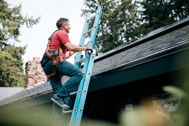 Best Roof Leak Repair  in St Charles, MN